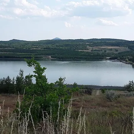 Alenku Krupka